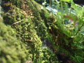 DSC08203.JPG